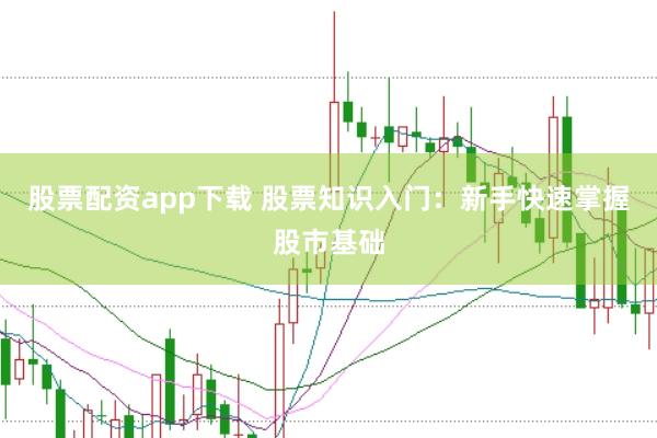 股票配资app下载 股票知识入门：新手快速掌握股市基础