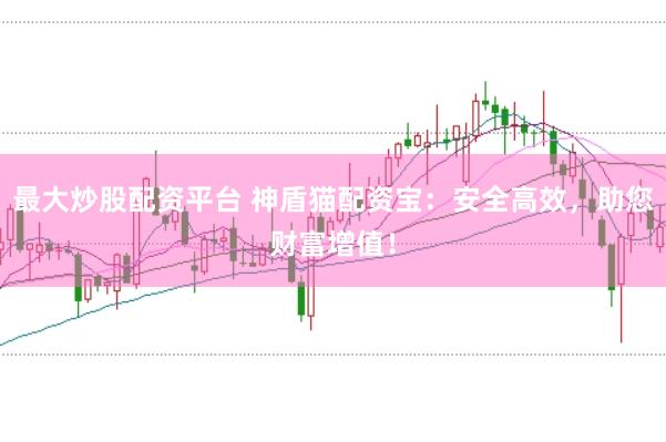 最大炒股配资平台 神盾猫配资宝：安全高效，助您财富增值！