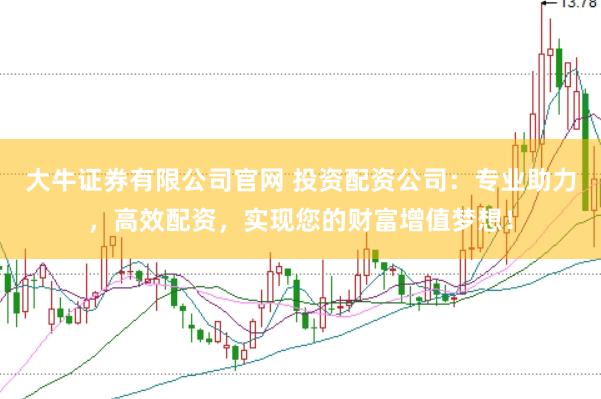 大牛证券有限公司官网 投资配资公司：专业助力，高效配资，实现您的财富增值梦想！