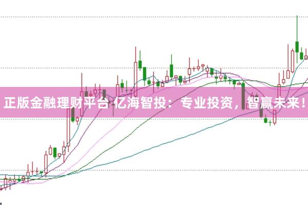 正版金融理财平台 亿海智投：专业投资，智赢未来！