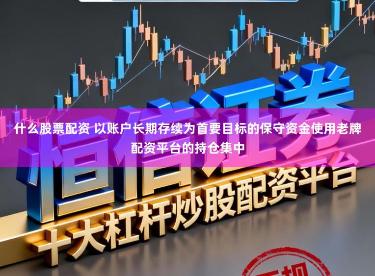 什么股票配资 以账户长期存续为首要目标的保守资金使用老牌配资平台的持仓集中